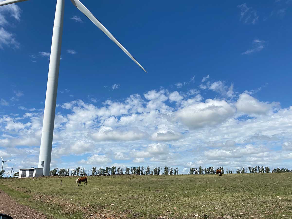 Wind turbine farms are one of the ways Uruguay managed to generate 97 percent of its electricity from renewable sources.