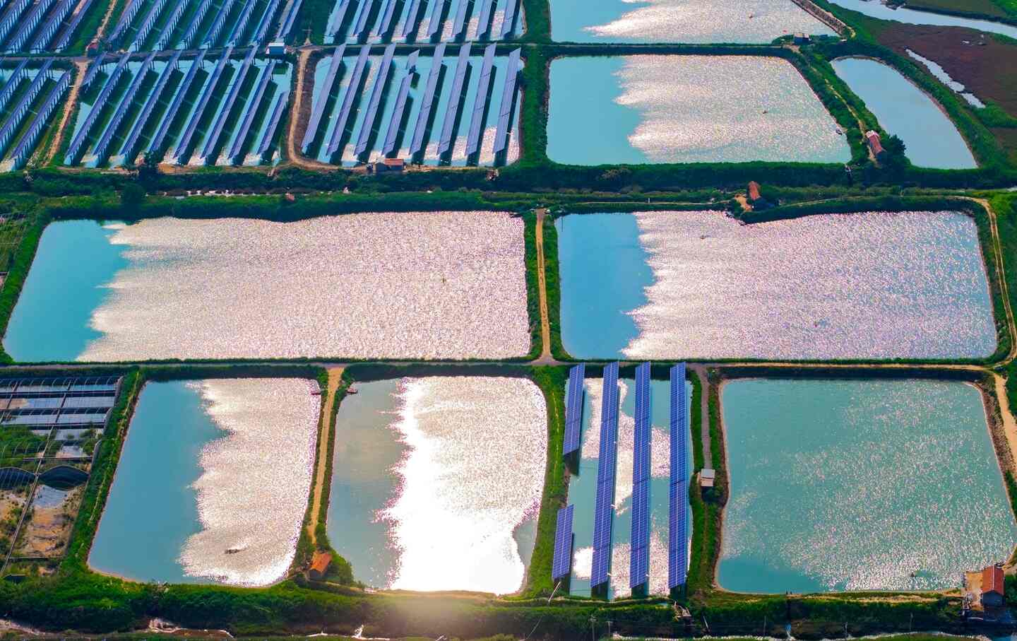 Solar panels built over aquaculture ponds for shrimp and crab farming in Qingdao West Coast New Area in Shandong Province, China, on August 11, 2025.