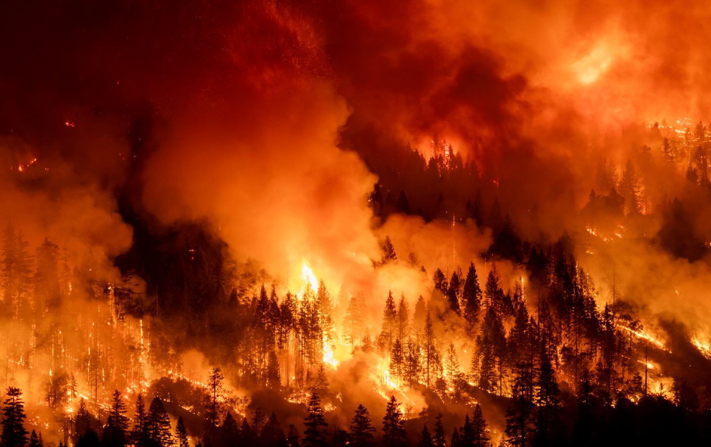 The Park Fire burns through the night on July 30, 2024, near Chico, California.