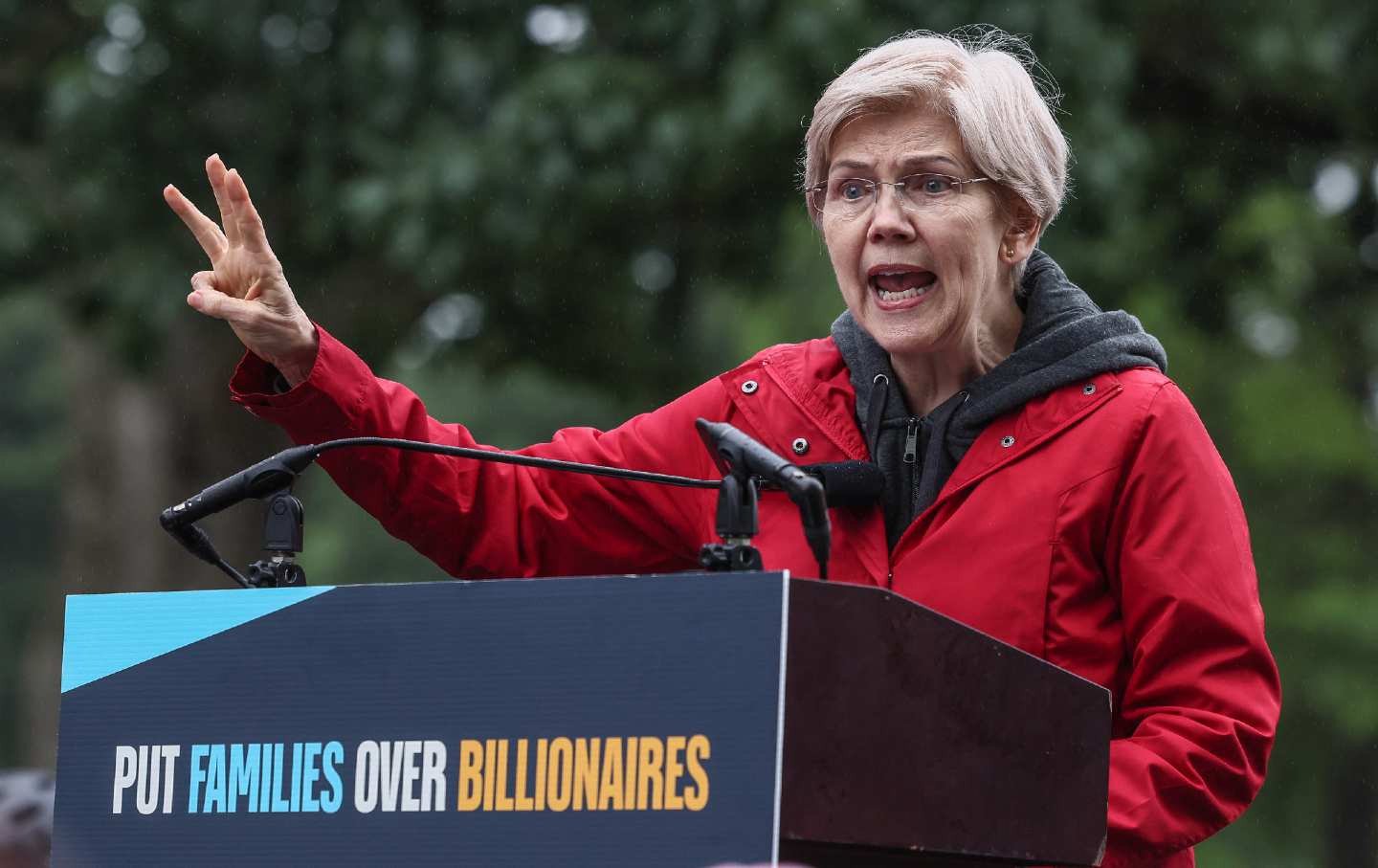 Elizabeth Warren's Plan for a Revived Democratic Party