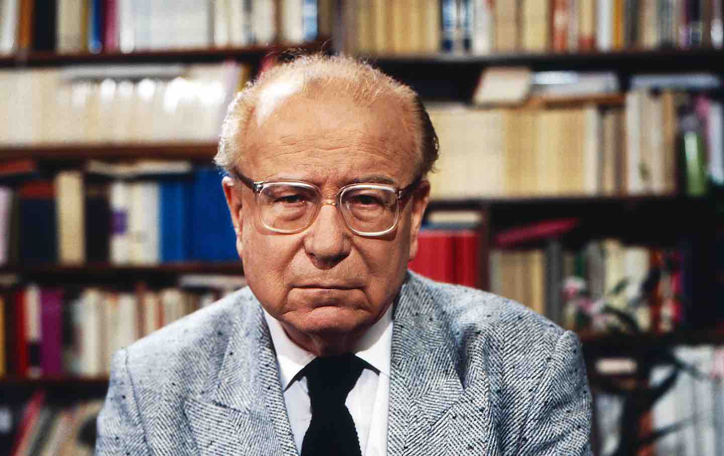 Wolfgang Koeppen, 1986.