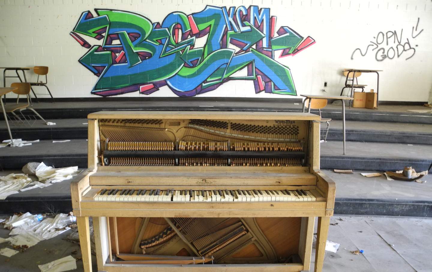 Test Article for full width image credit