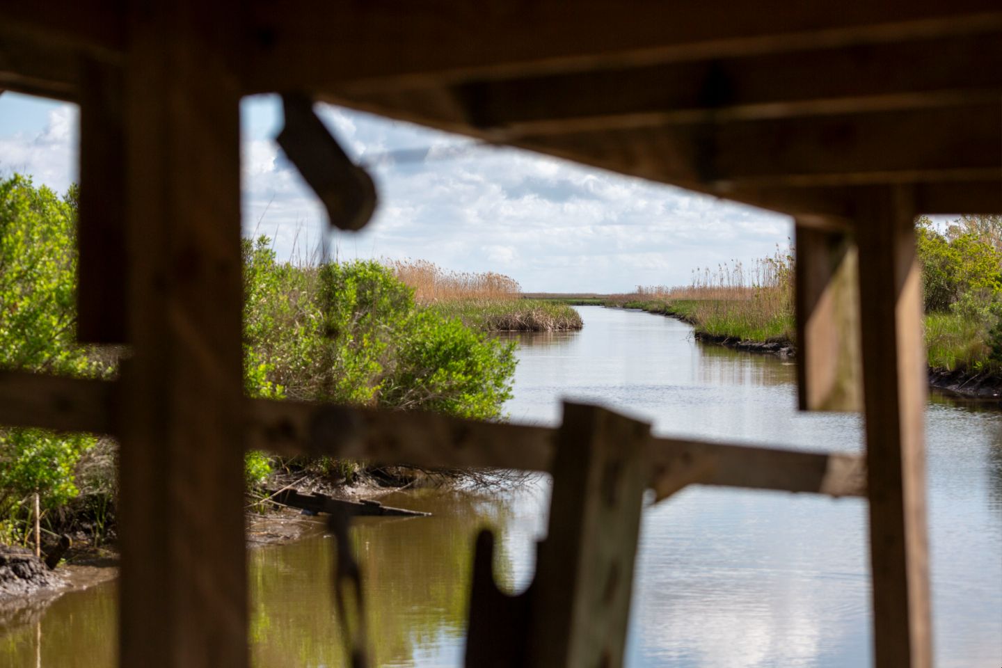 A natural bayou near the Boston Canal in Vermilion Parish.