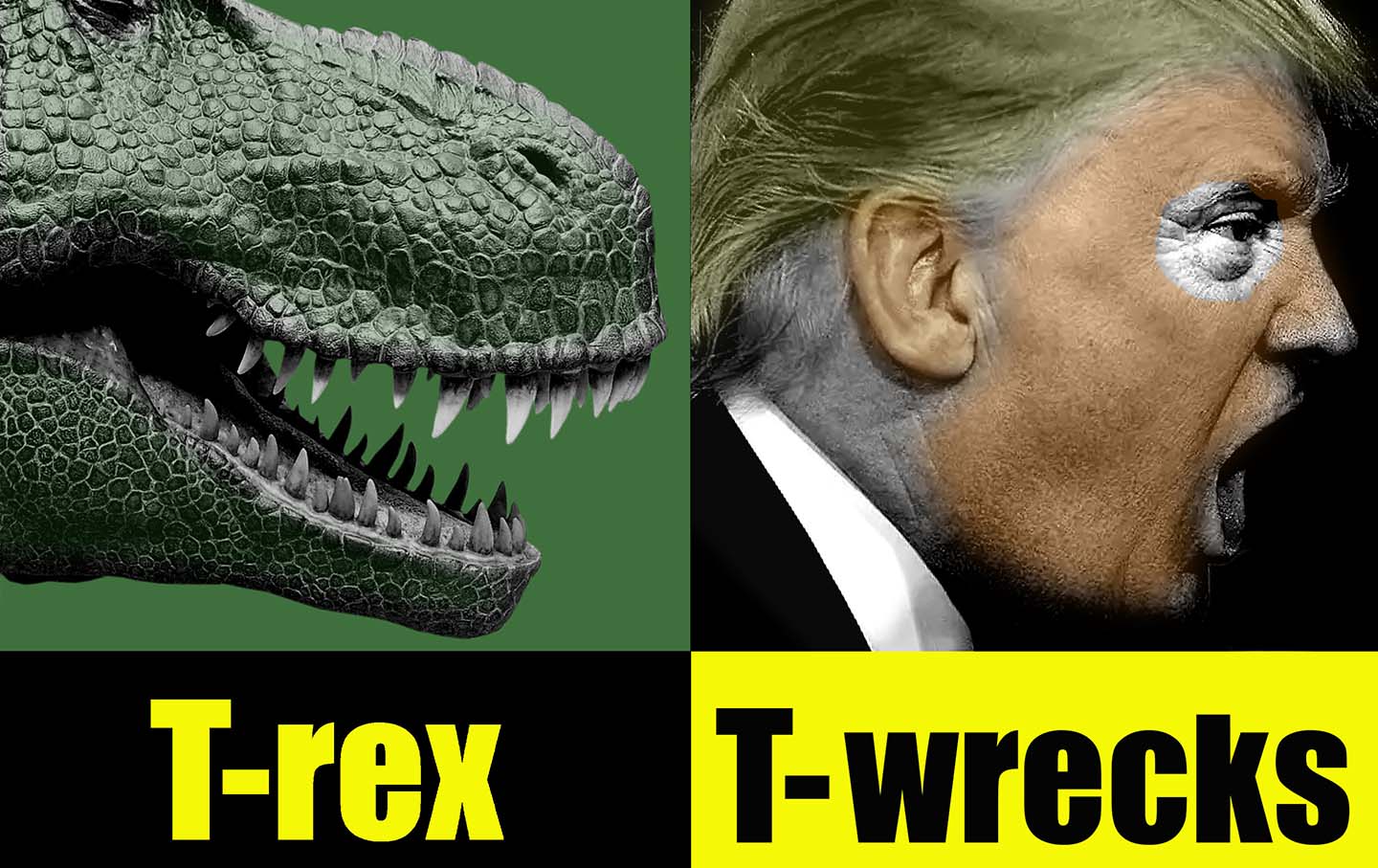 Separated at Birth?