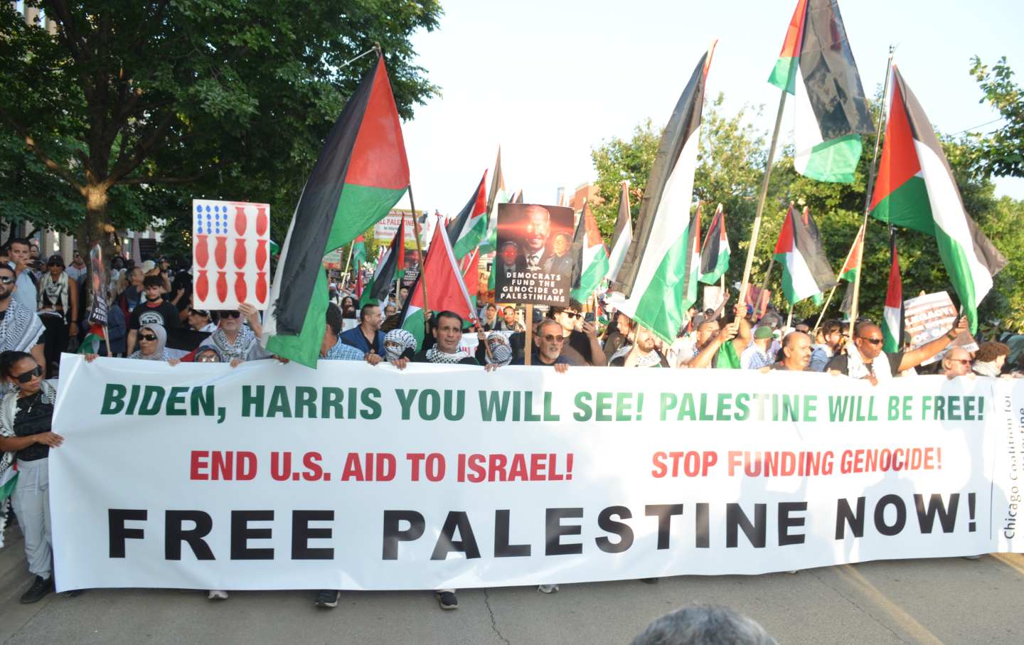 a pro-Palestine protest, police take measures on the third day of the Democratic National Convention (DNC) at the United Center in Chicago, Illinois, United States on August 21, 2024.