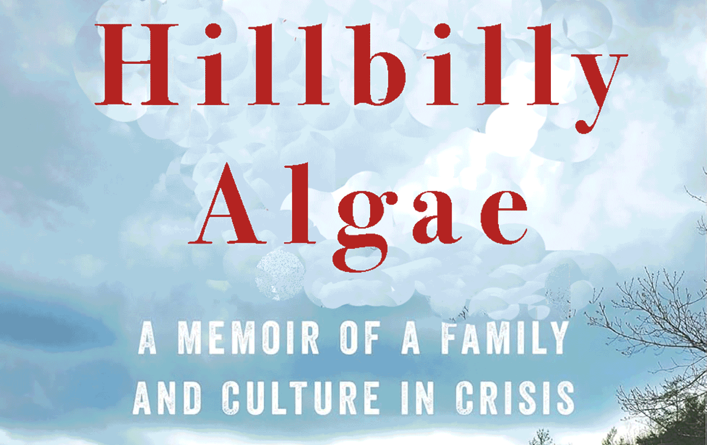 Hillbilly Algae