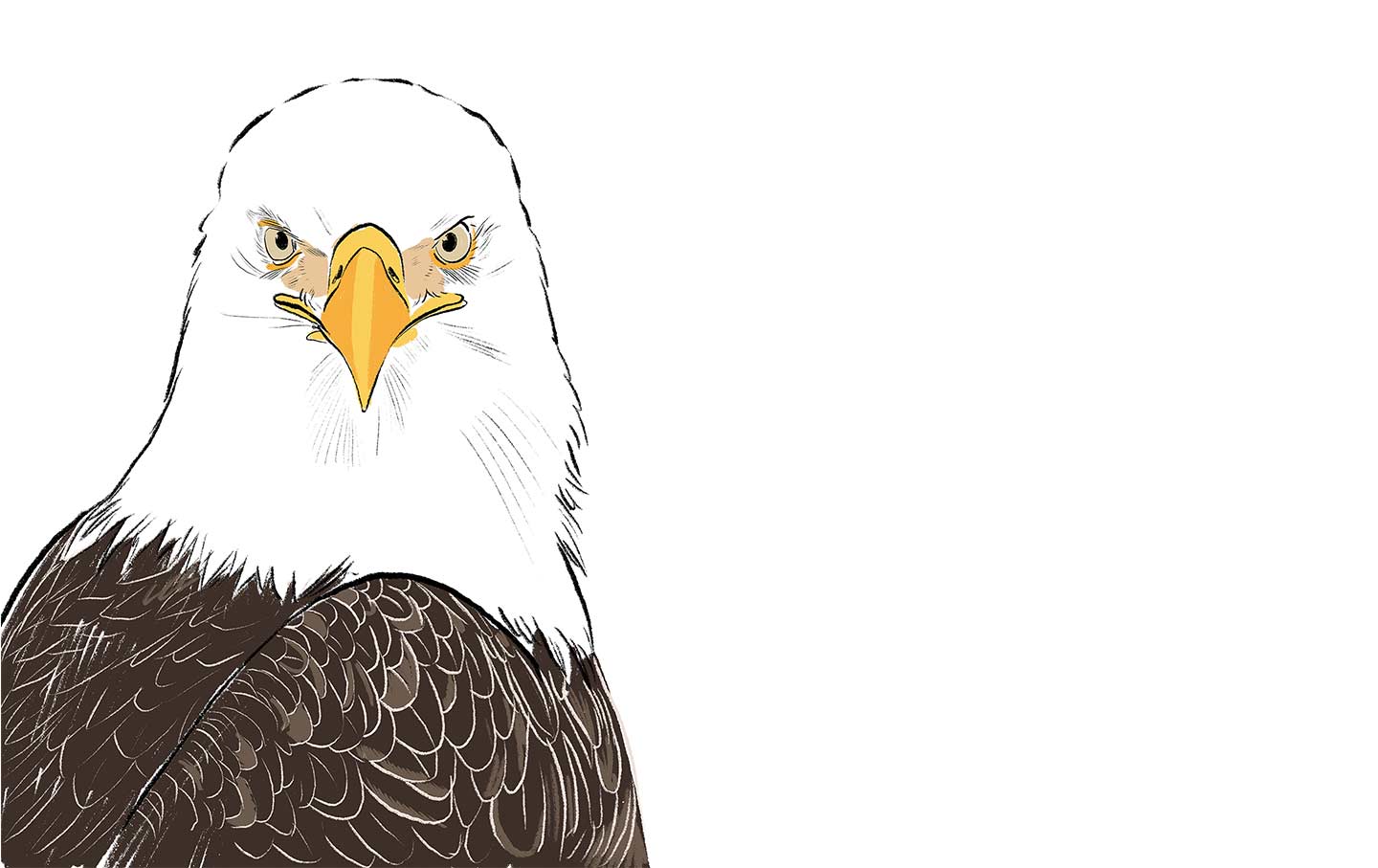 The Bald Eagle Perfectly Embodies America's Flaws