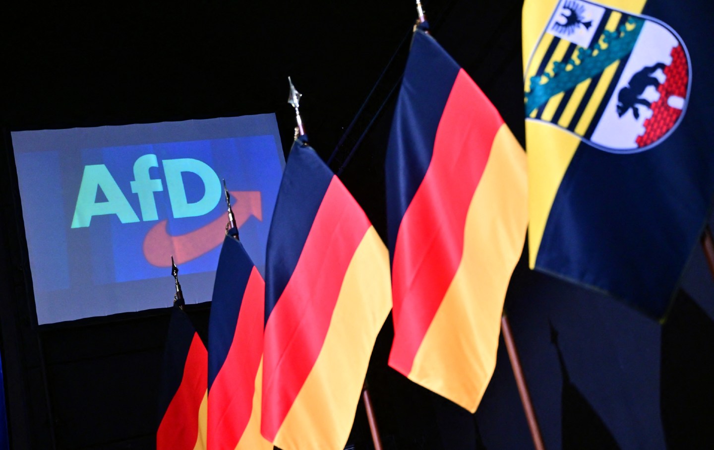 How the AfD Benefits Politically From the Ukraine War’s Backlash