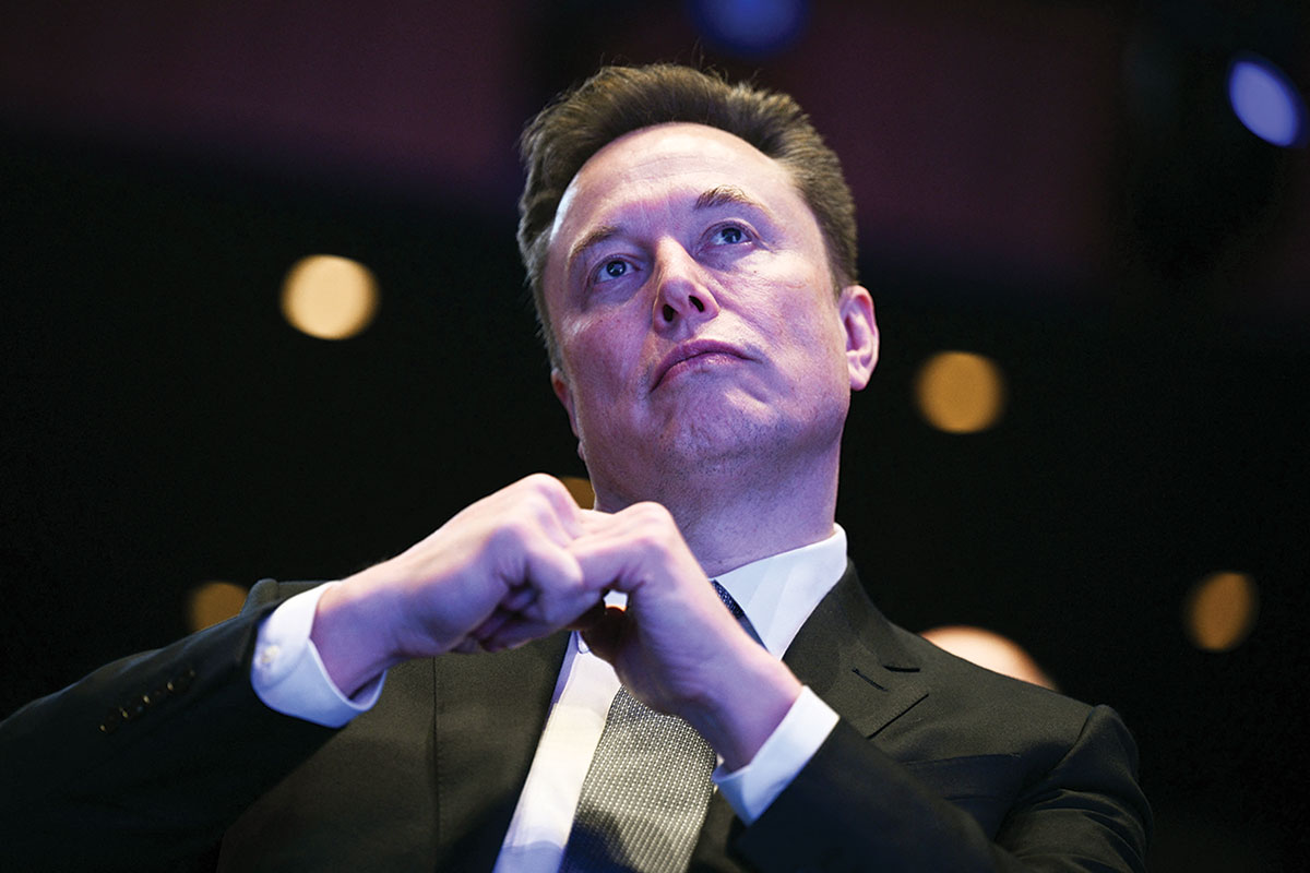 Elon Musk, who helped to gut the federal workforce while serving under Trump, sees masculinity and whiteness as somehow under threat.